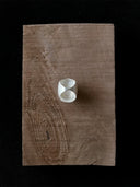 prestashop:1:785:17794 | Large ebony tree hollow ring