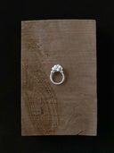 prestashop:1:787:3299 | Silver Cluster of Seeds Ring
